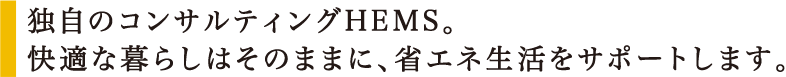 独自のコンサルティングHEMS。快適な暮らしはそのままに、省エネ生活をサポートします。